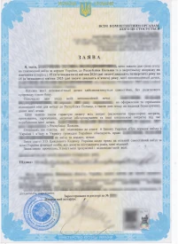 Зразок фотографії для візи